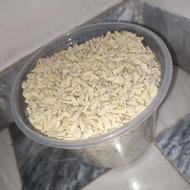 بذر نارنج فروشی