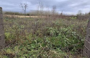 فروش زمین مسکونی 250 متر در روستا صحنه سرا