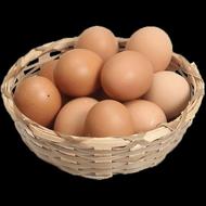 فروش تخم مرغ محلی