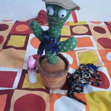 کاکتوس سخنگو