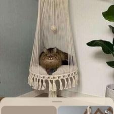 تاب ریلکسی پیشو