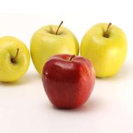 سیب درختی شانزده تن سلماس