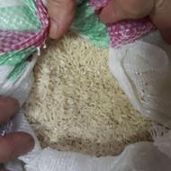 برنج طارم هاشمی