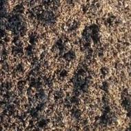 برگ پوسیده خاک برگ