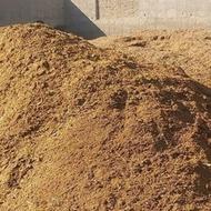 کود گوسفندی تمیز