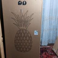 یخچال پاکشوما پلمپ قیمت کارخانه