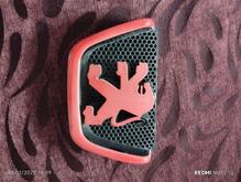 ارم جلو. 206 در شیپور