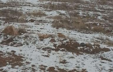 فروش زمین کشاورزی و صنعتی