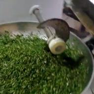 دستگاه سبزی خردکن بشقابی صنعتی تک فاز فروشگاه الکتروبهارآمل