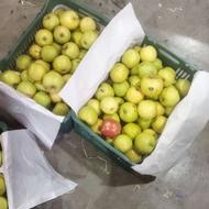 سیب درجه 2 برای سرکه و خشک کردن