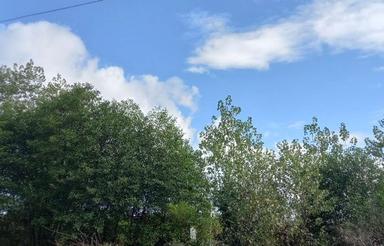 225 متر زمین داخل بافت خیابان دکتر کمال