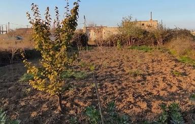 فروش زمین ، چناربن (فرهنگیان)