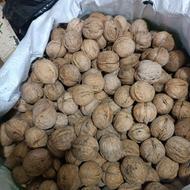 گردو درجه یک اعلا