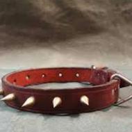 قلاده سگ و تجهیزات