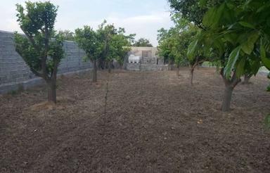 فروش زمین کشاورزی 600 متر در خرم آباد