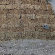 یونجه درجه یک