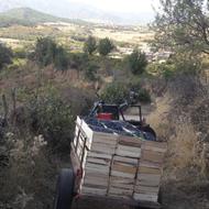 موتور چهار چرخ شخم زن دست ساز