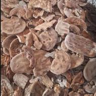 نان خشگ تمیز بدون کپک