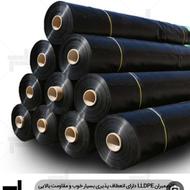 ورق استخری ژئوممبران