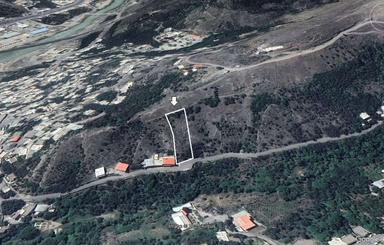 1500 متر باغ زیتون در شهر رودبار