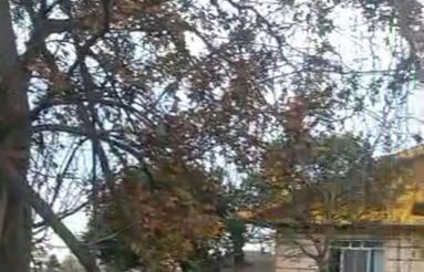 بابلسر ویلای دوبکس شیک