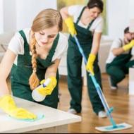 خدمات نظافت منزل شرکتهای خصوصی دولتی کلی وجزیی