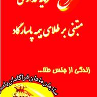 سرمایه گذاری مبتنی برطلا_ماهان فراگامان _محسن حسنی