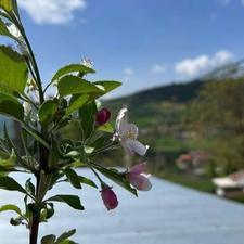 فروش سوئیت نیمه کاره