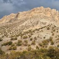 148 متری واقع در ریاستی شیراز