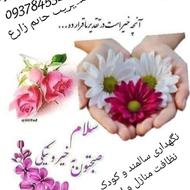 نگهداری از سالمند او کودکان ، نظافت منزل،وو