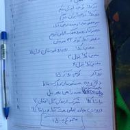 قرقاول نر بلژیکی تاکسی درمی