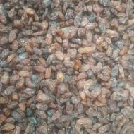 قیمت توافقی