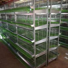 قفس منبری قفس باتری