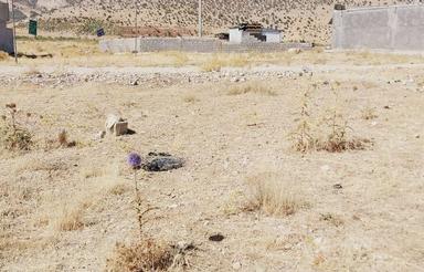 زمین موردراز علیا.