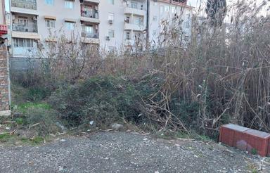 فروش زمین مسکونی منطقه شیلات