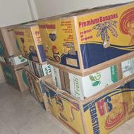 کارتن موز 20 عدد