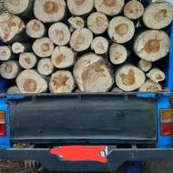 خرید ضایعات چوب و قلمه با بالاترین قیمت