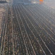 کارگاه تولیدی تیرچه با بهترین کیفیت