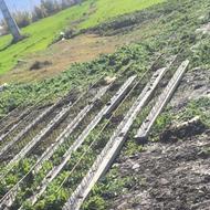 تیرچه 6متری و یه متری