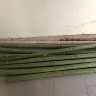 چوب بامبو ابعاد بقطریک سانت تاشش سانتی