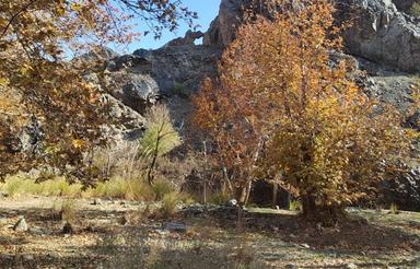 خریدار زمین در روستای فروتقه و قوژد
