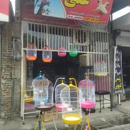 قفس انواع پرنده