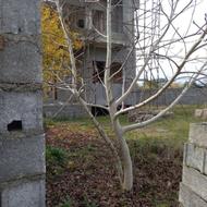 فروش ویلا 310 متر در کترا