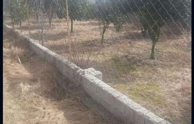 فروش زمین مسکونی 250 متر در روشندان