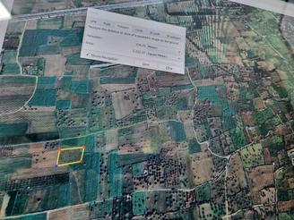 فروش فوری زمین کشاورزی غرب روستای لمراسک