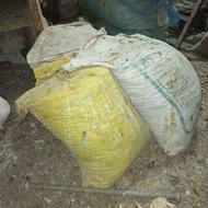 تعداد15عددکودکفتردانه