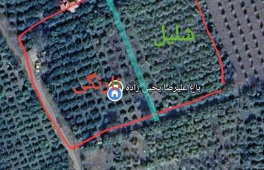 4350مترمربع باغ مرکبات وشلوار و شلیل