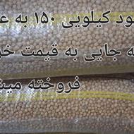 فروش 380 کیلو نخود