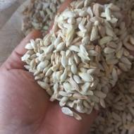 بذر نارنج(تخم نارنج)