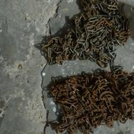 دودست زنجیرچرخ پراید یک دست جدیدویک دست قدیمی